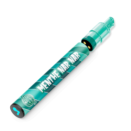 Puff Wpuff 2.0 Liquideo - Starter Kit 800 Puffs